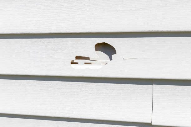 Best Construction Debris Removal  in Grand Coulee, WA